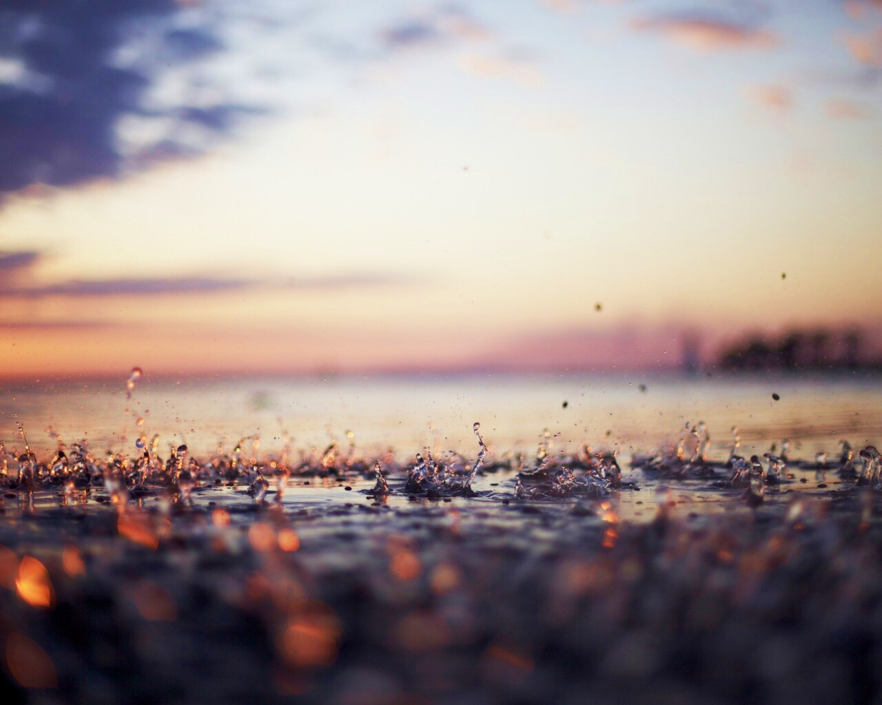 Дождь в макро обои