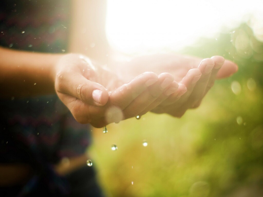 Дождь в ладонях обои