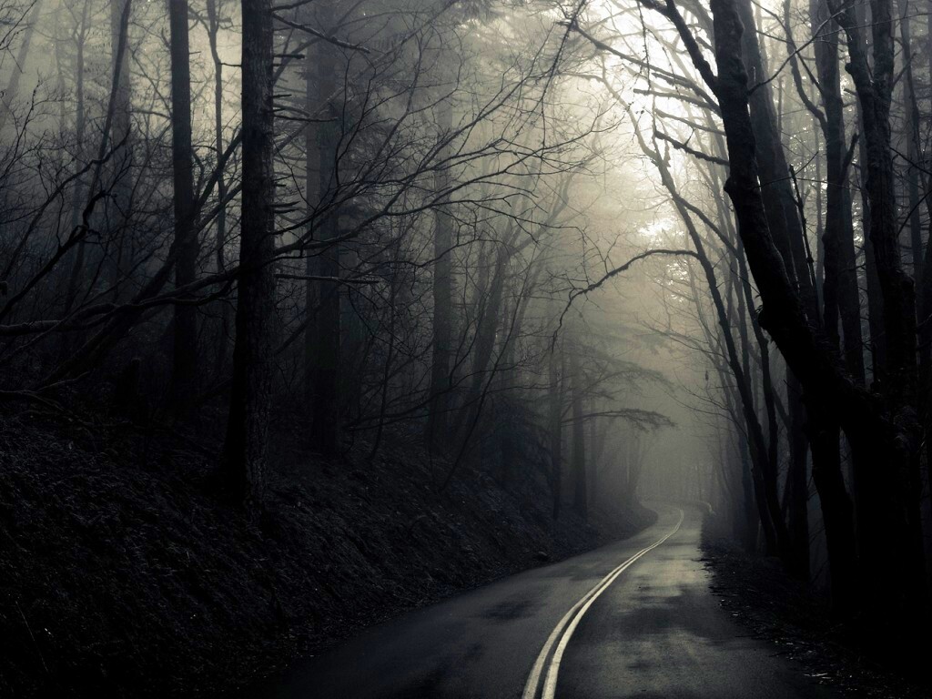 В туман обои