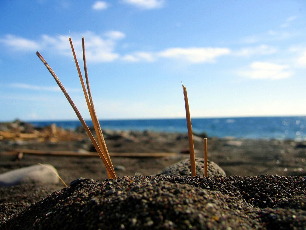 Солома на океанском берегу обои