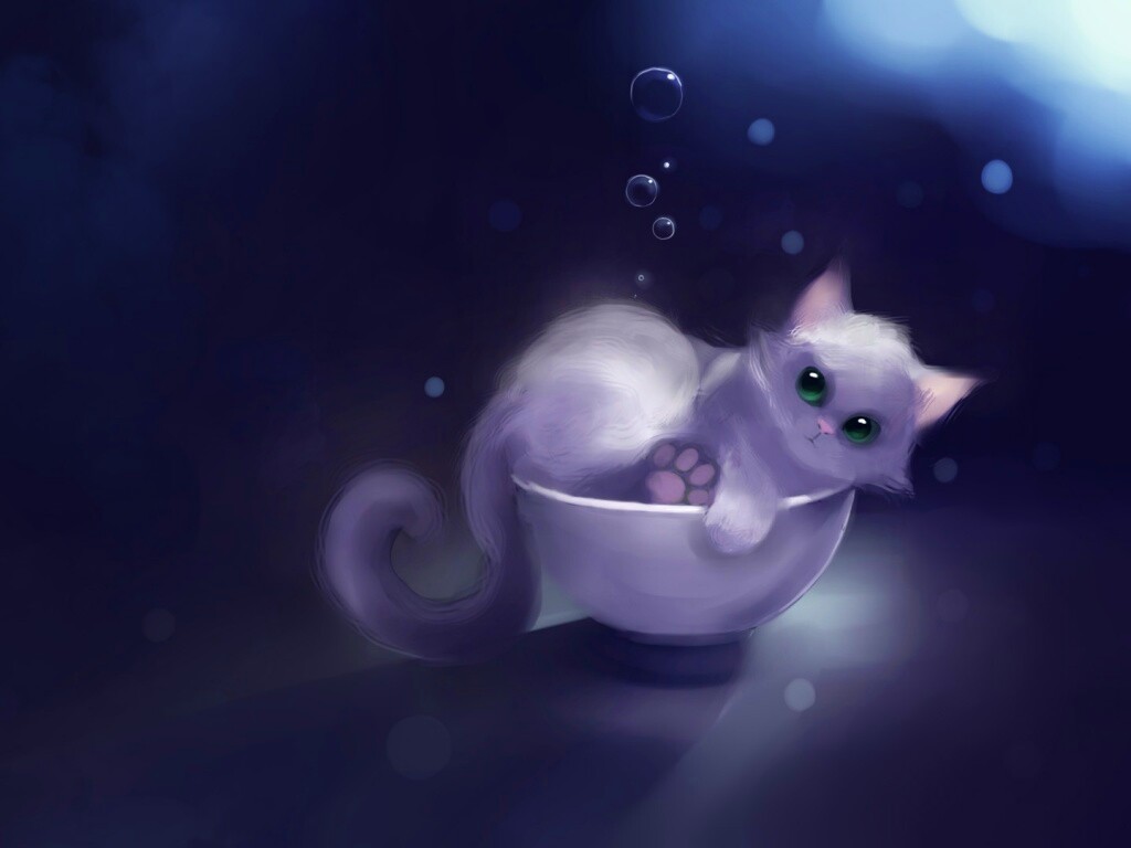 Котёнок в миске обои