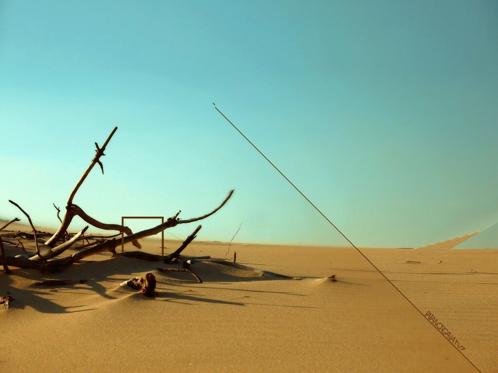 Сухостой в песках обои
