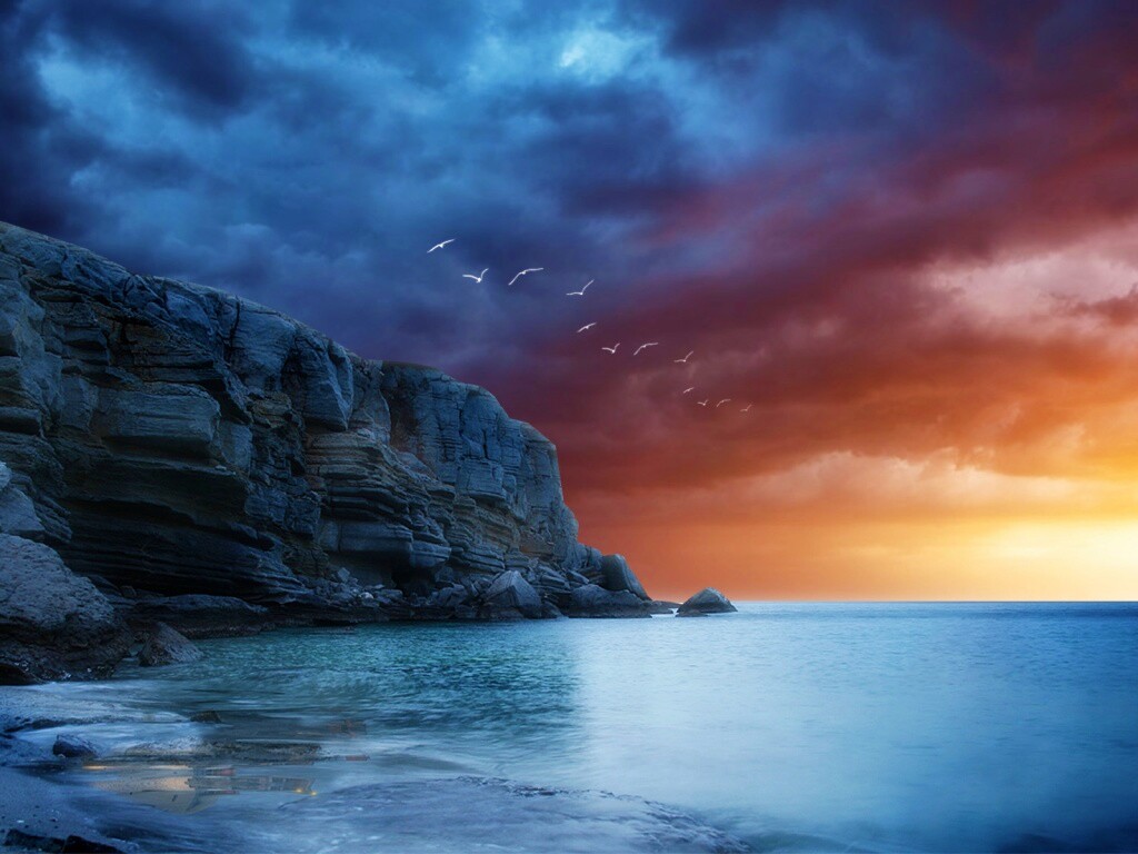 Чайки над скалами обои