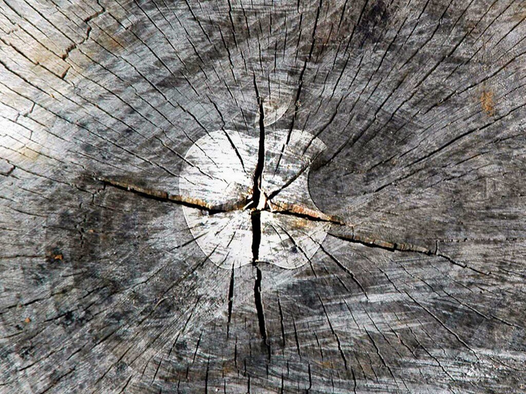 Логотип Apple на бревне обои