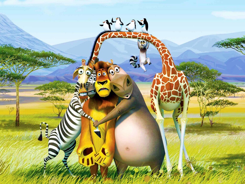 Герои мультфильма Мадагаскар обои
