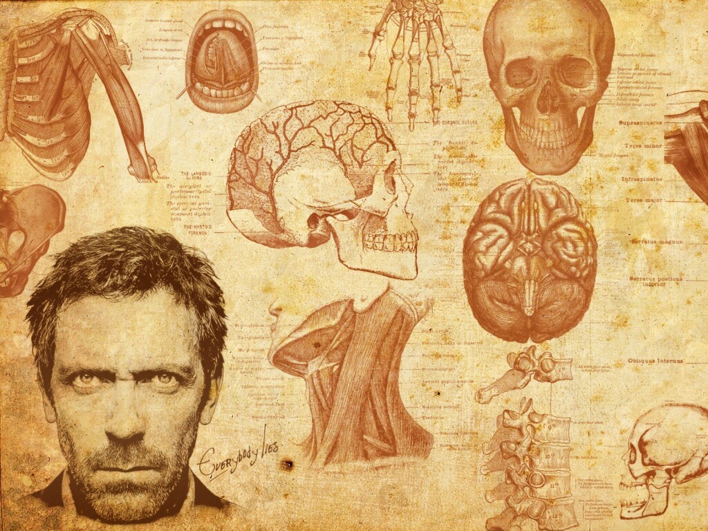 Анатомические рисунки доктора Хауса обои