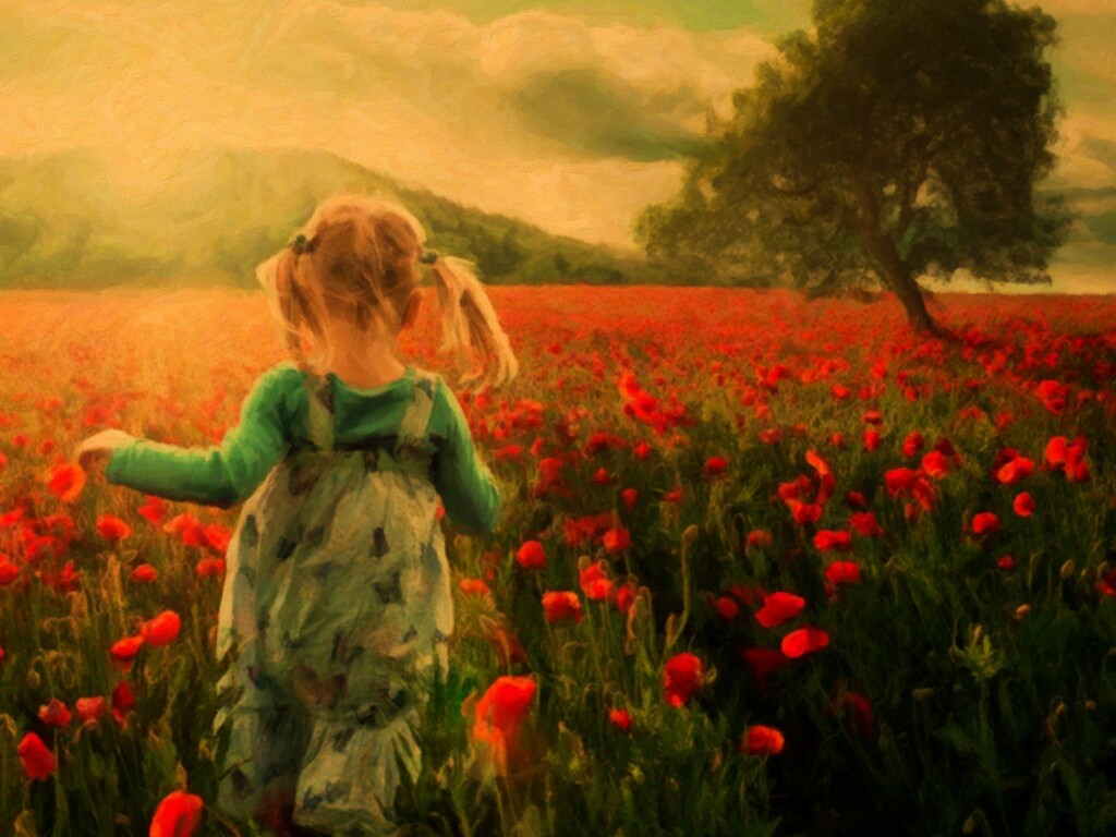 Девочка на маковом поле обои