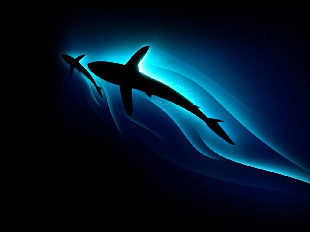 Рыбы в глубине обои