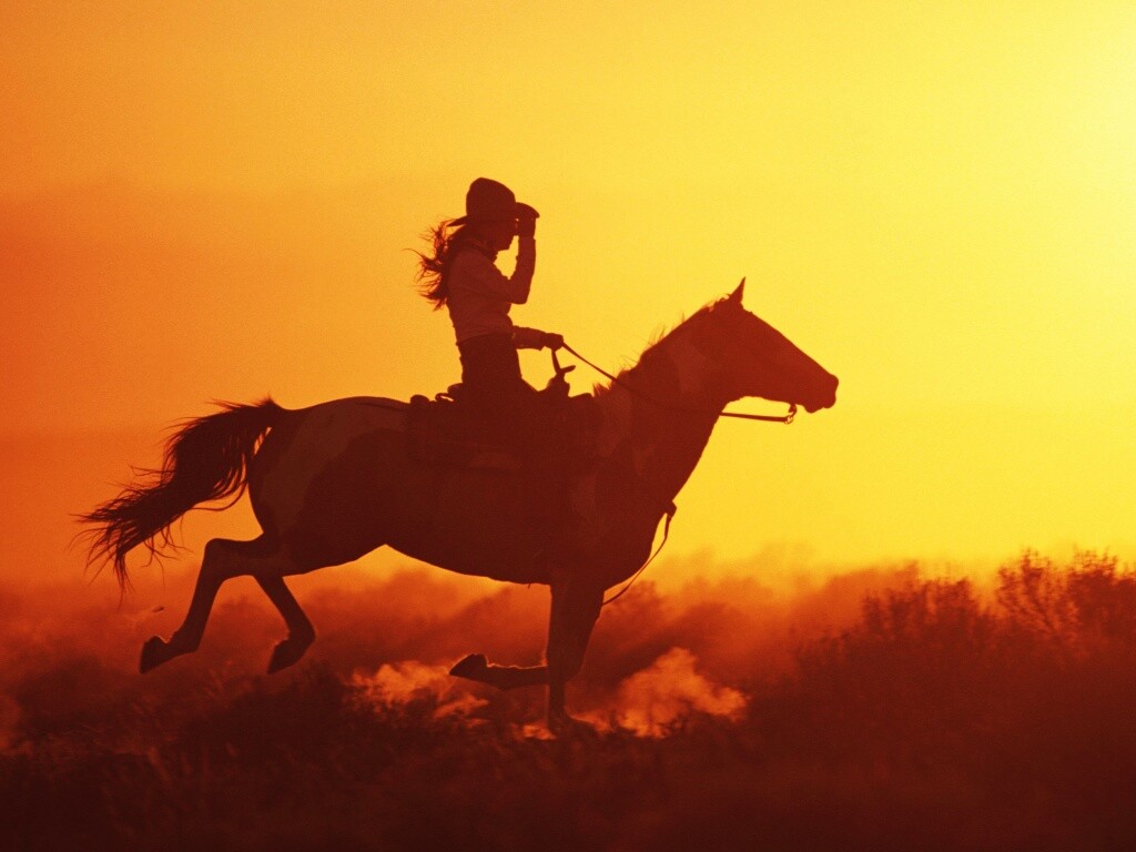 Наездница на закате обои