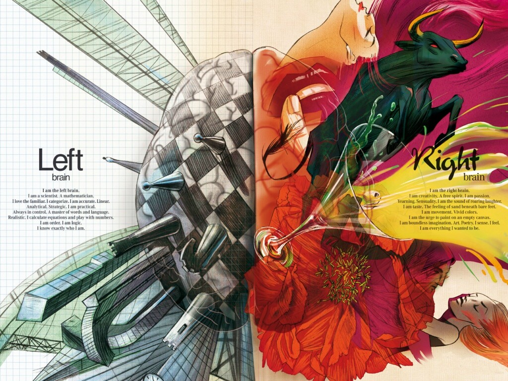 Левая и правая часть мозга обои