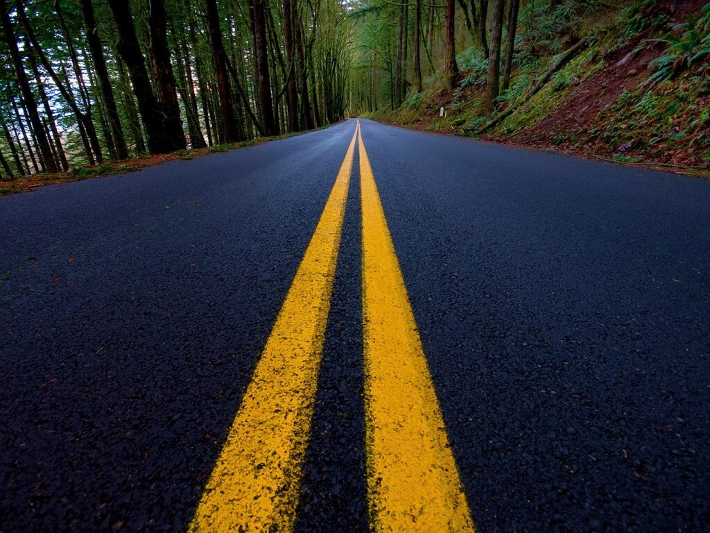 Дорога в лесу обои