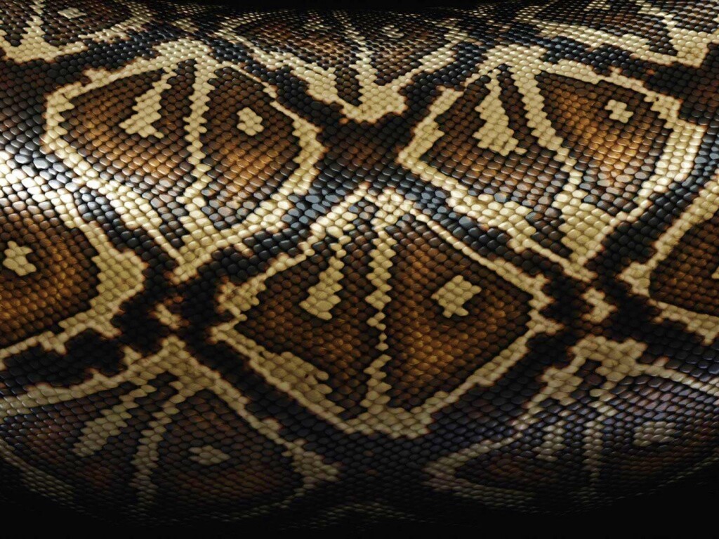 Змеиная кожа обои