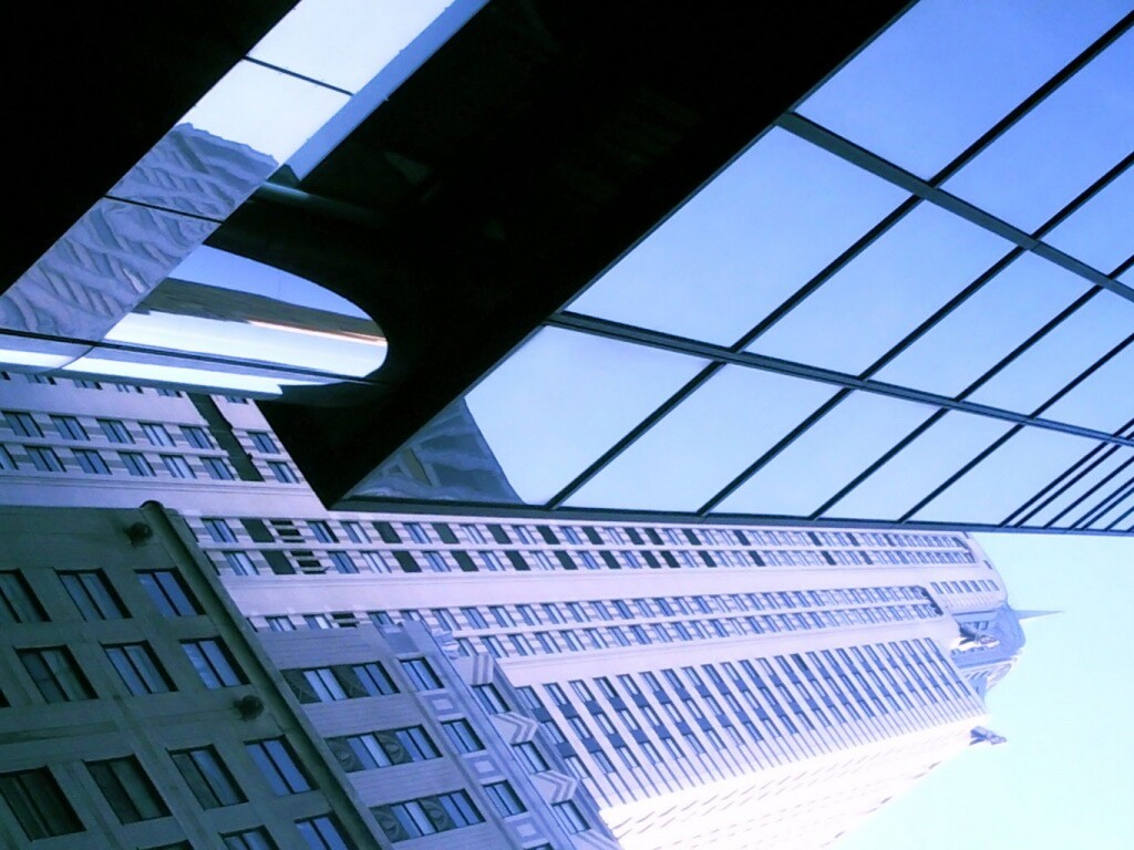 Взгляд вверх обои