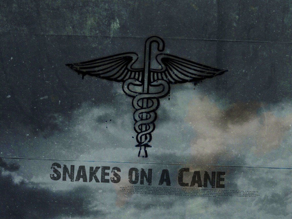 Змеи на трости обои