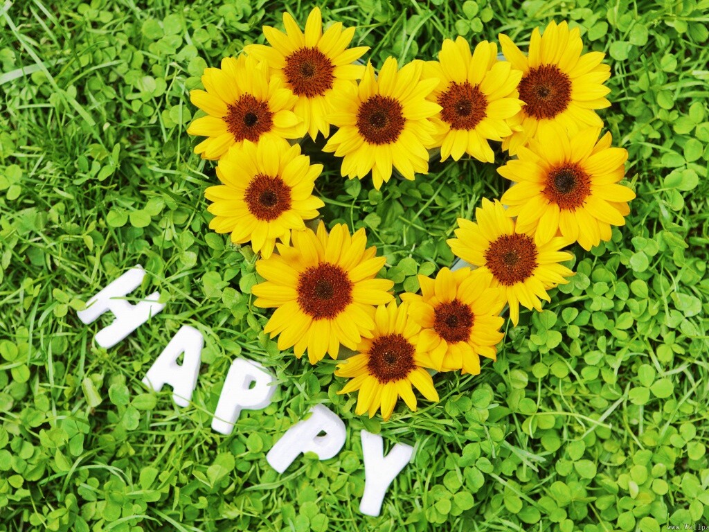 Радость обои