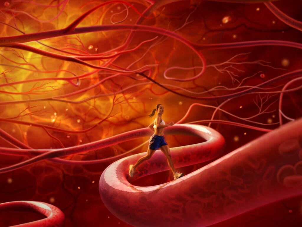 Бег крови обои