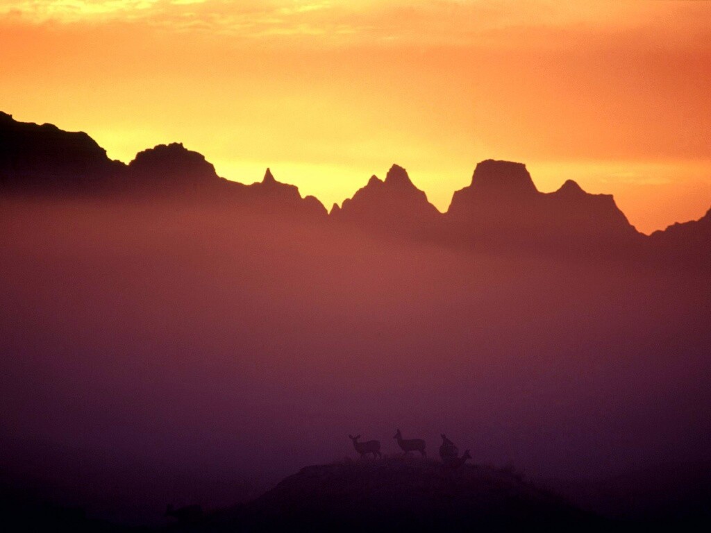 Вечер в национальном парке обои