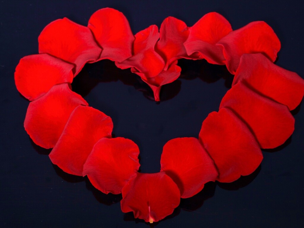 Красивое сердце обои