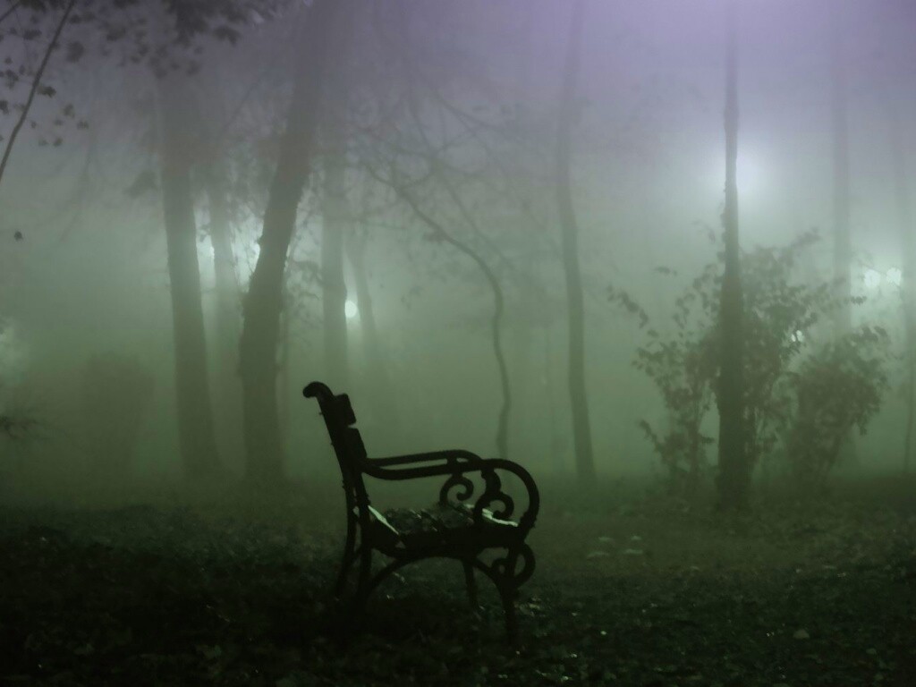 Темный лес обои