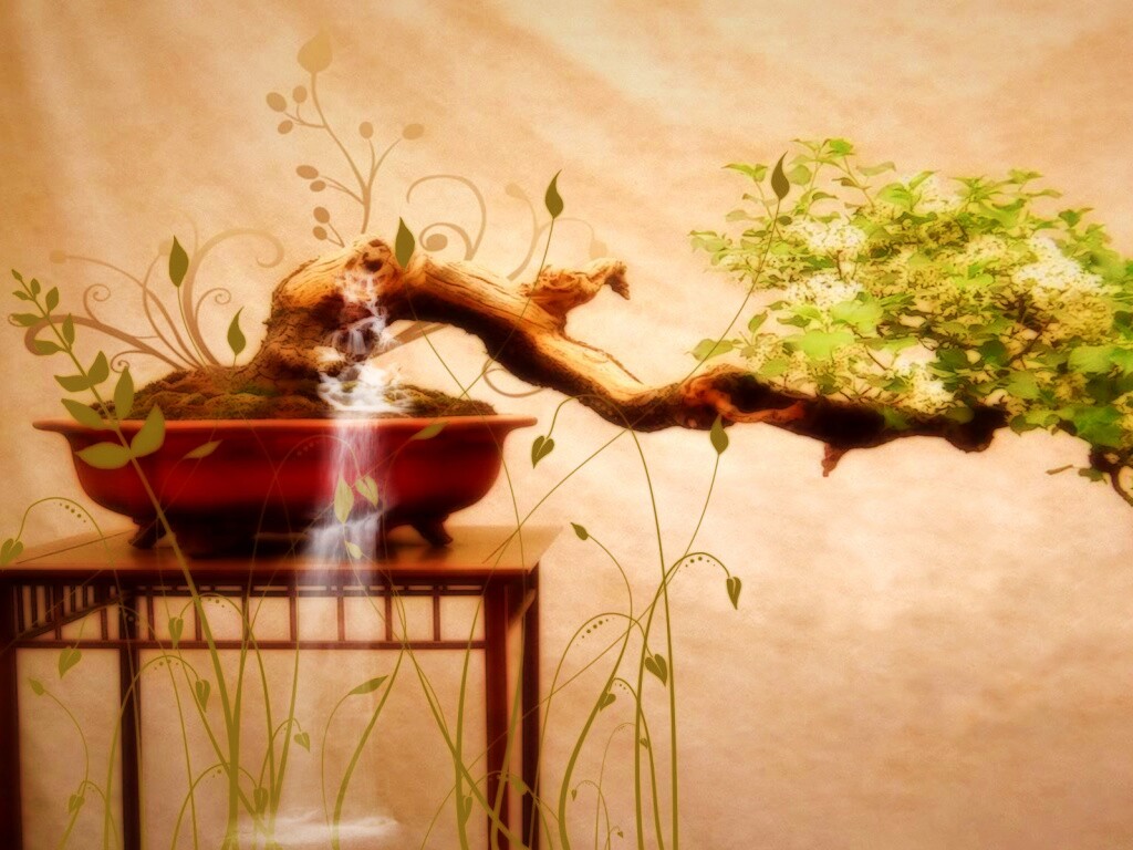 Карликовое дерево обои