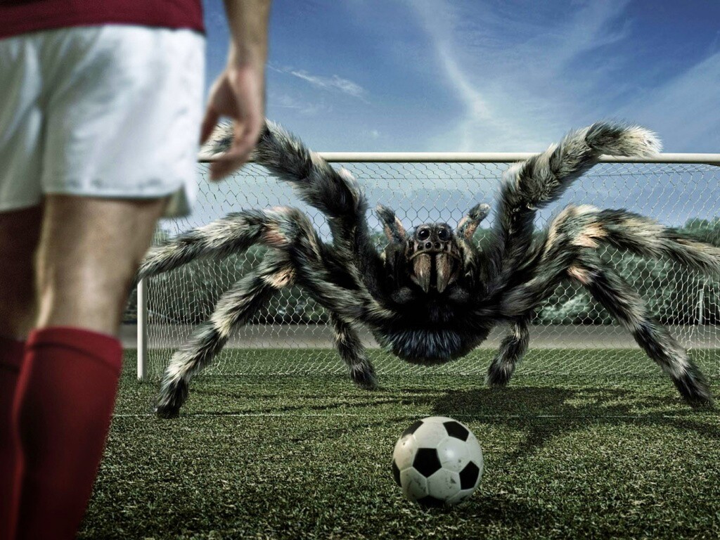 Вратарь обои