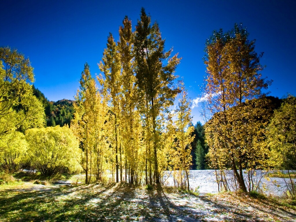 Осень в Новой Зеландии обои