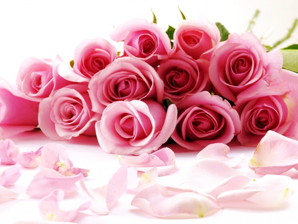 Букет роз обои