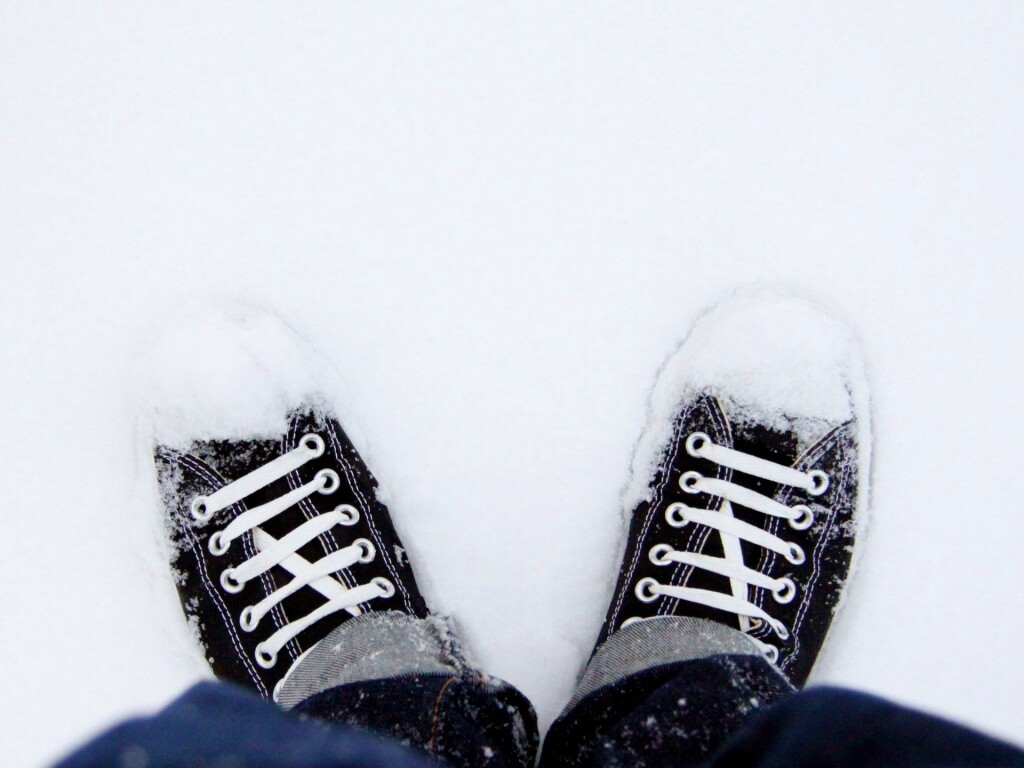 Дурак зимой в кедах обои