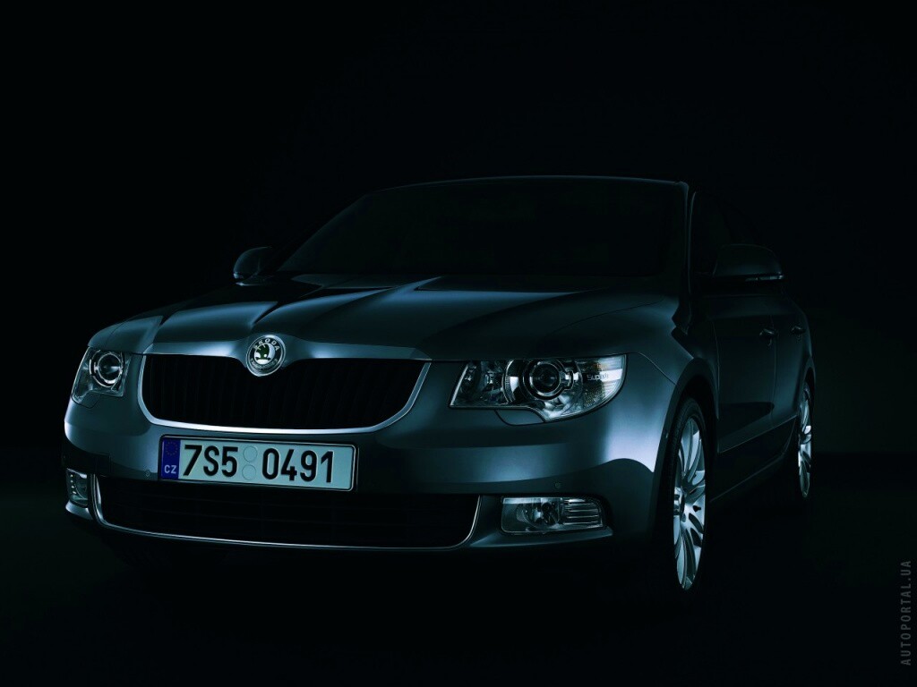 Шкода в темноте обои