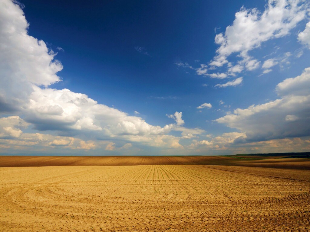 Незасеянное поле обои