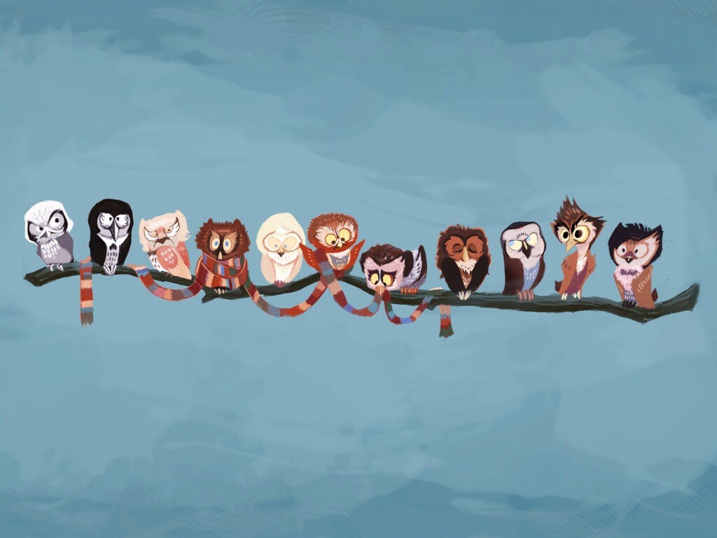 Совы на ветке обои
