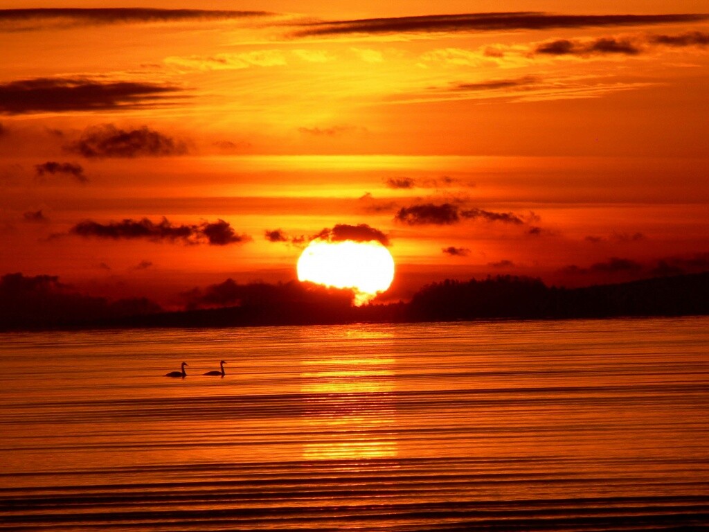 Великолепный рассвет обои