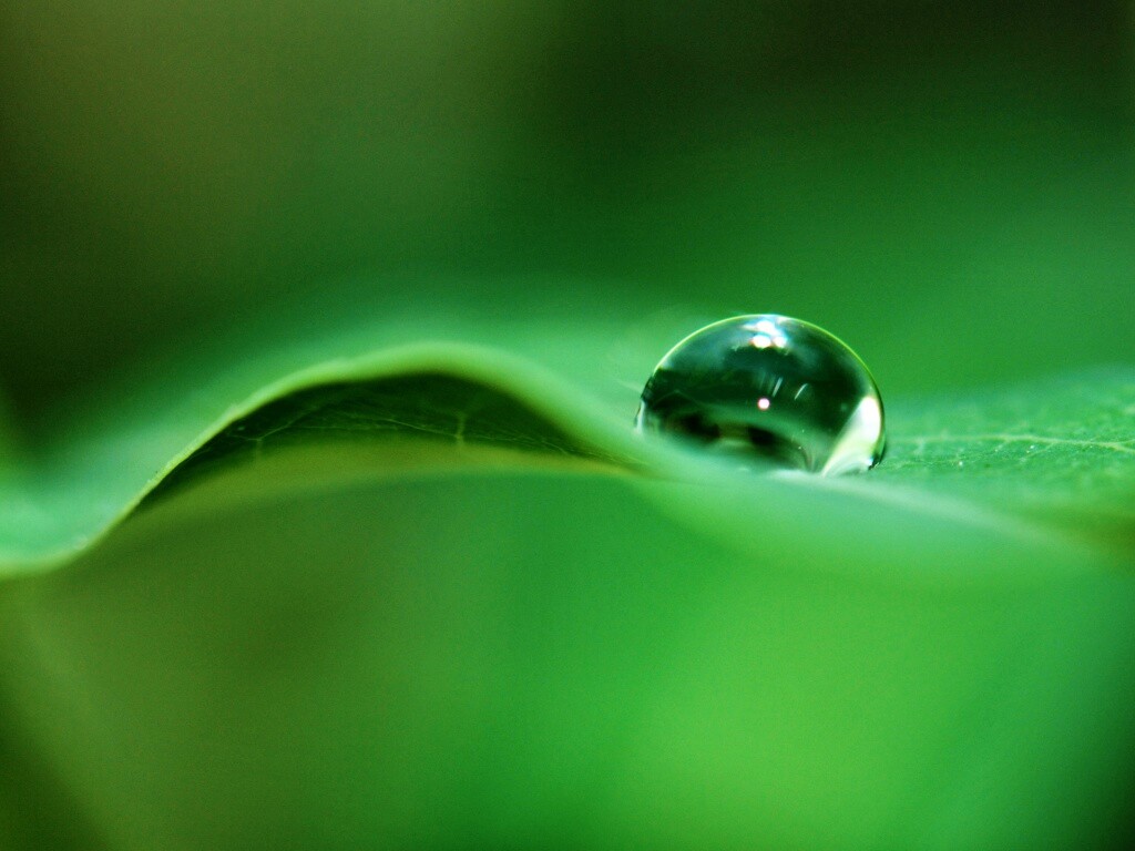 Фотография капли воды в макро обои
