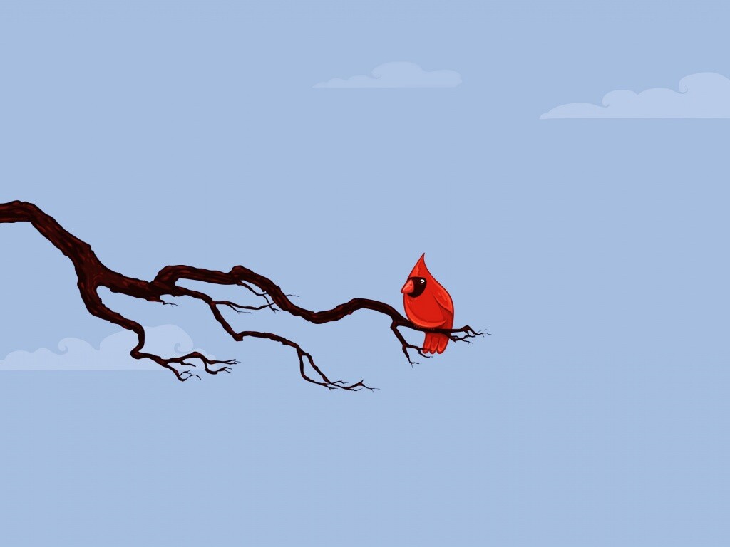 Красная птица на ветке обои