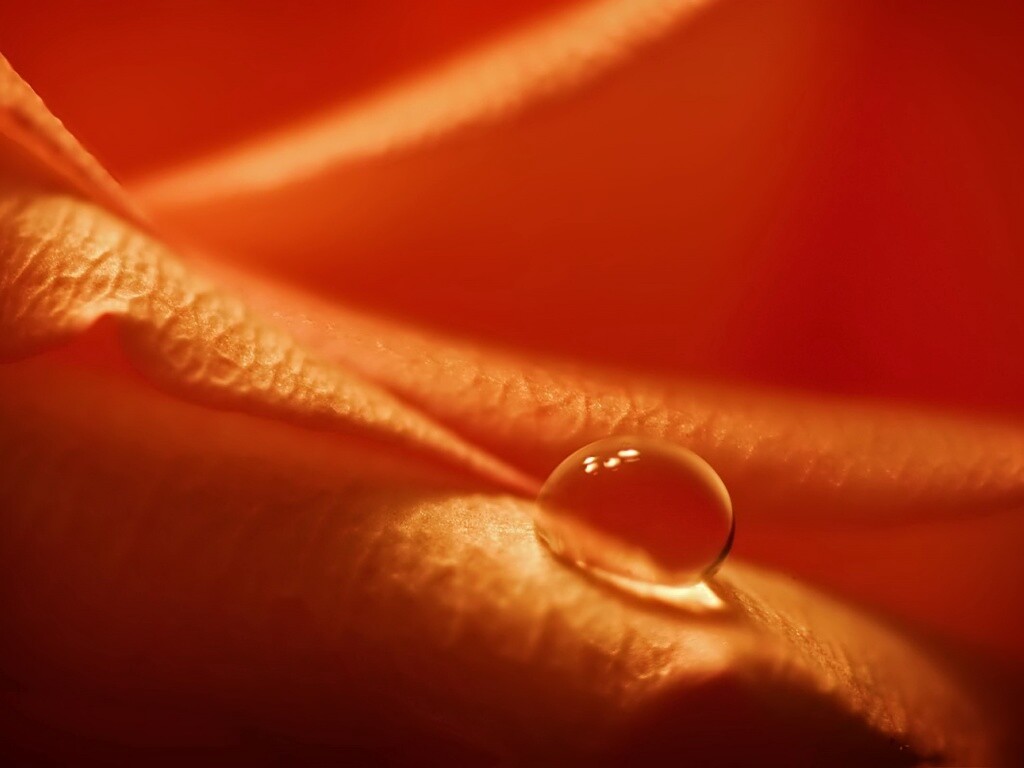 Капелька обои