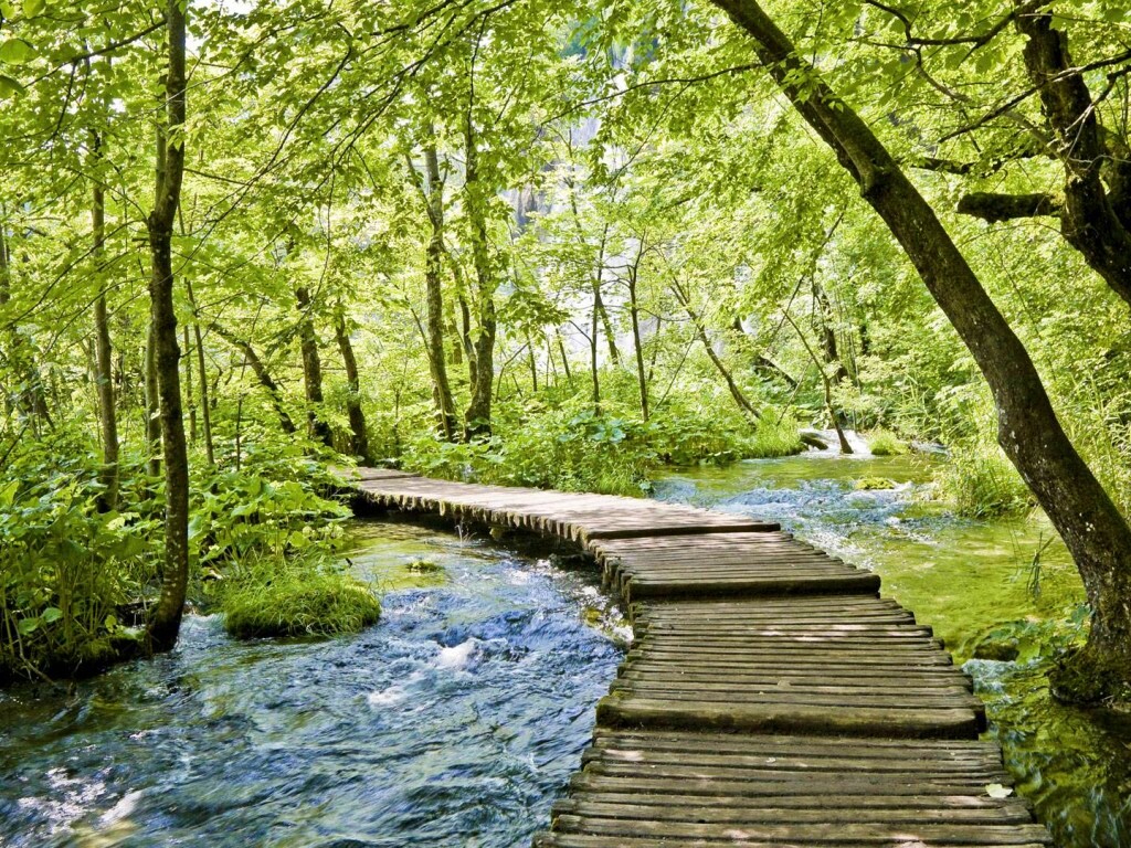 Тропинка над водой обои