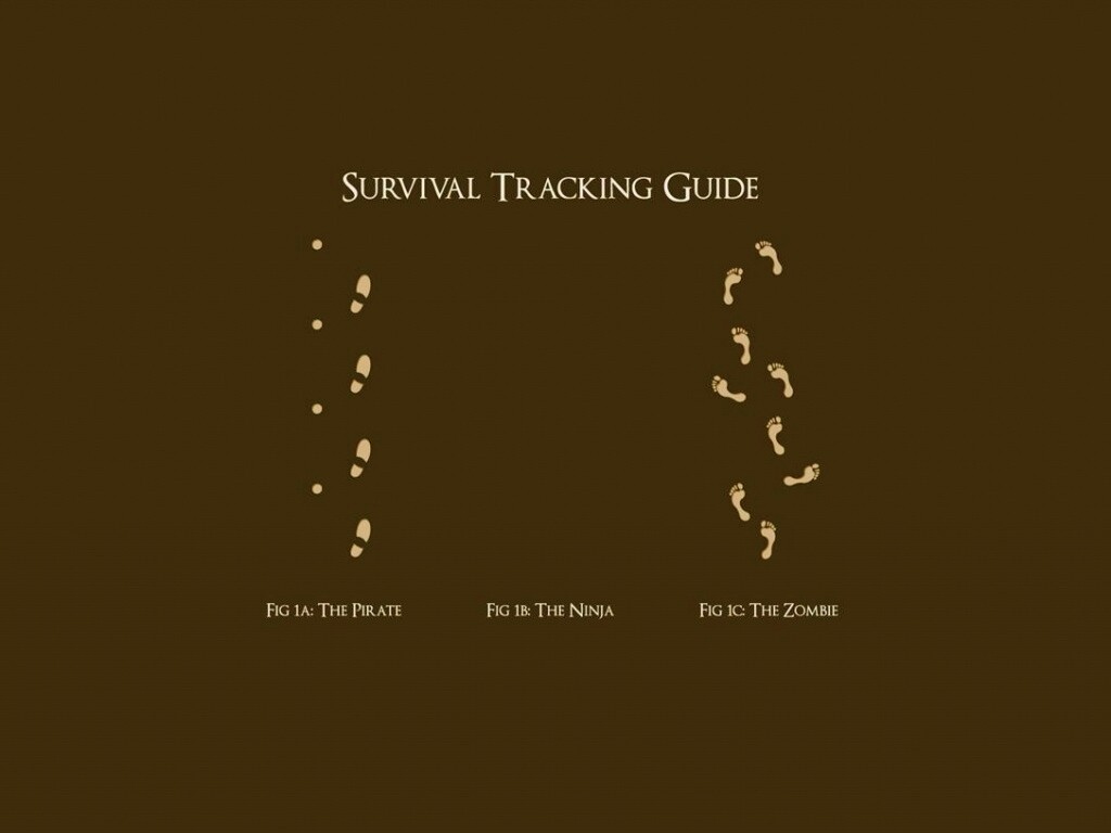 Следы: Пират, Ниндзя, Зомби обои