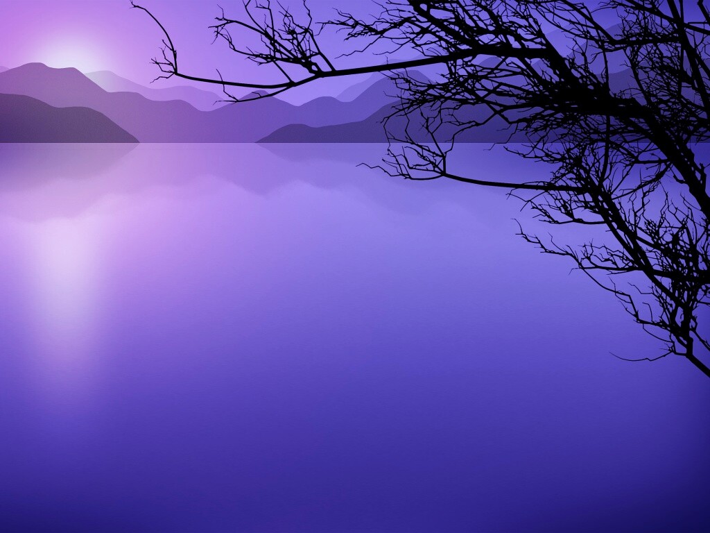 Ветка над вечерним озером обои