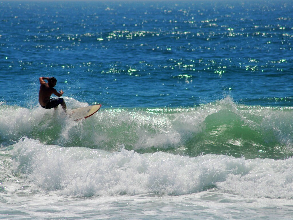 Сёрфенгист поймал волну обои