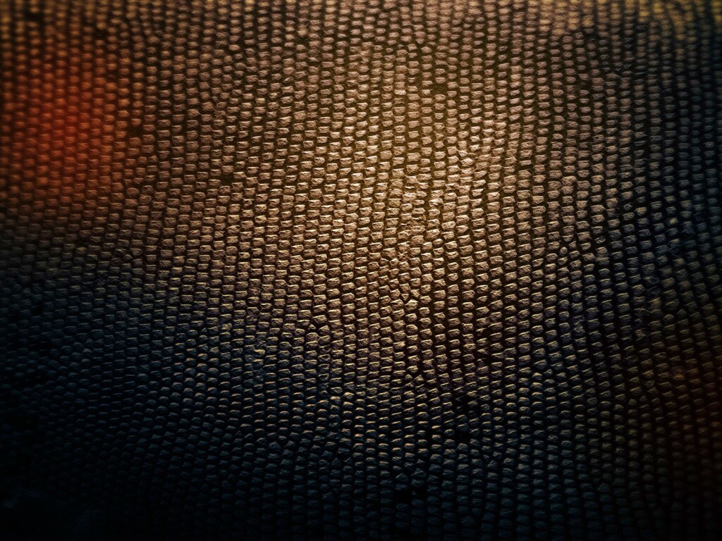 Чешуйчатые обои обои