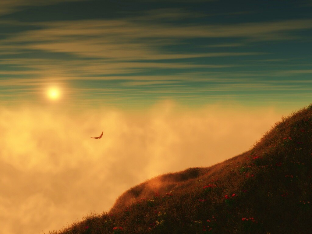 Птица парит над туманом обои