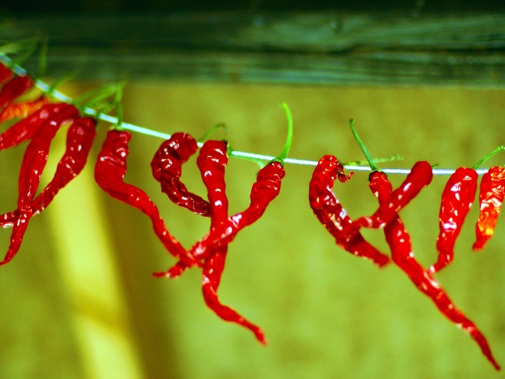 Перчики чили обои