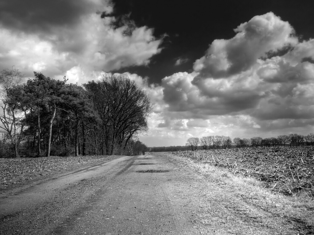 Дорога через поле обои