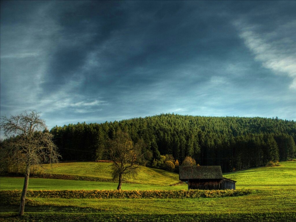 Домик в поле обои
