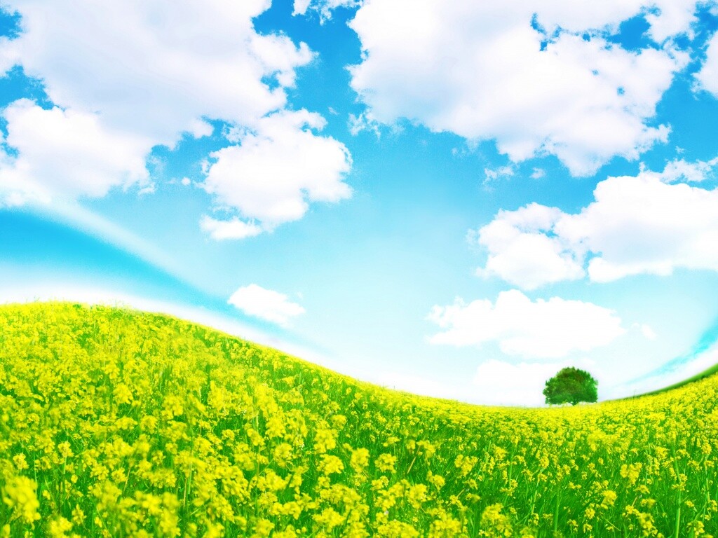 Искаженный мир обои