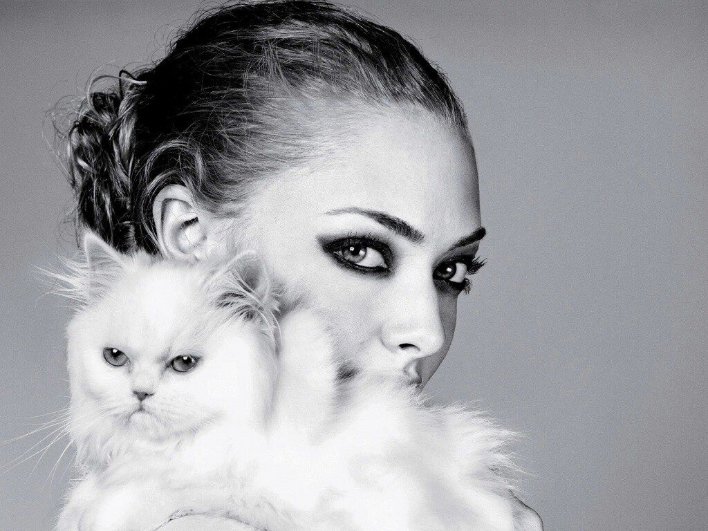 Девушка с кошкой обои