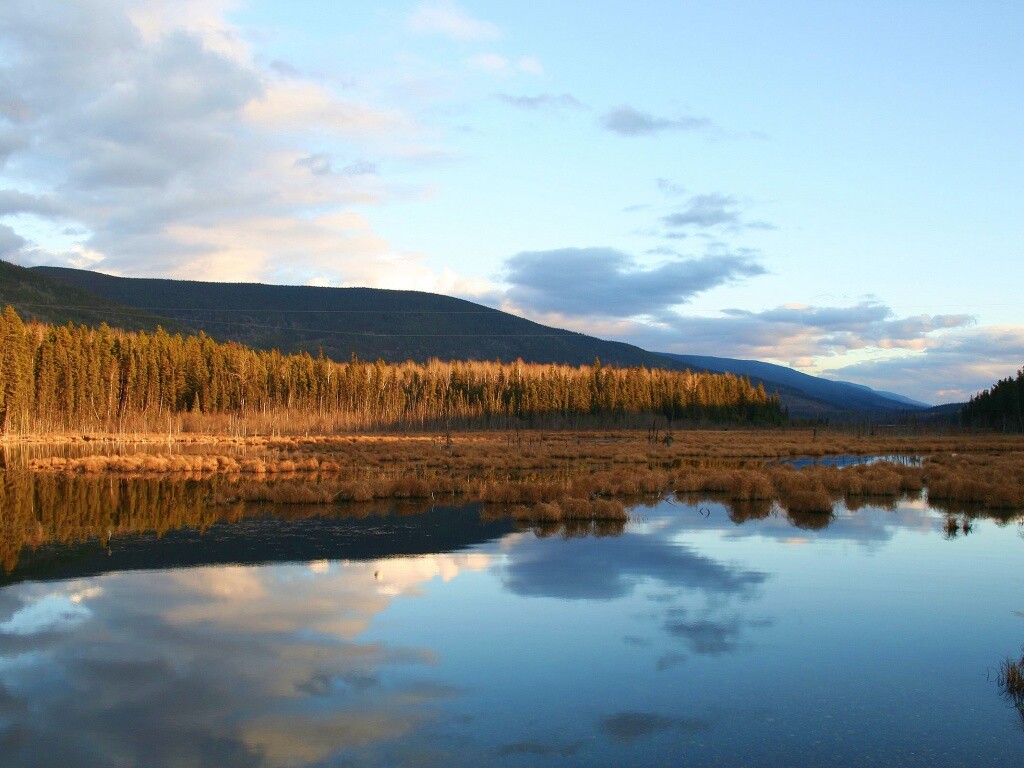 Осеннее озеро обои