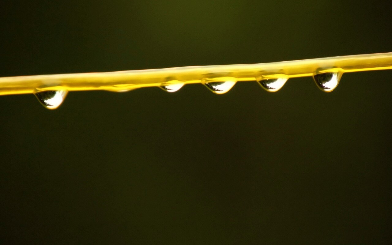 Капли на соломинке обои