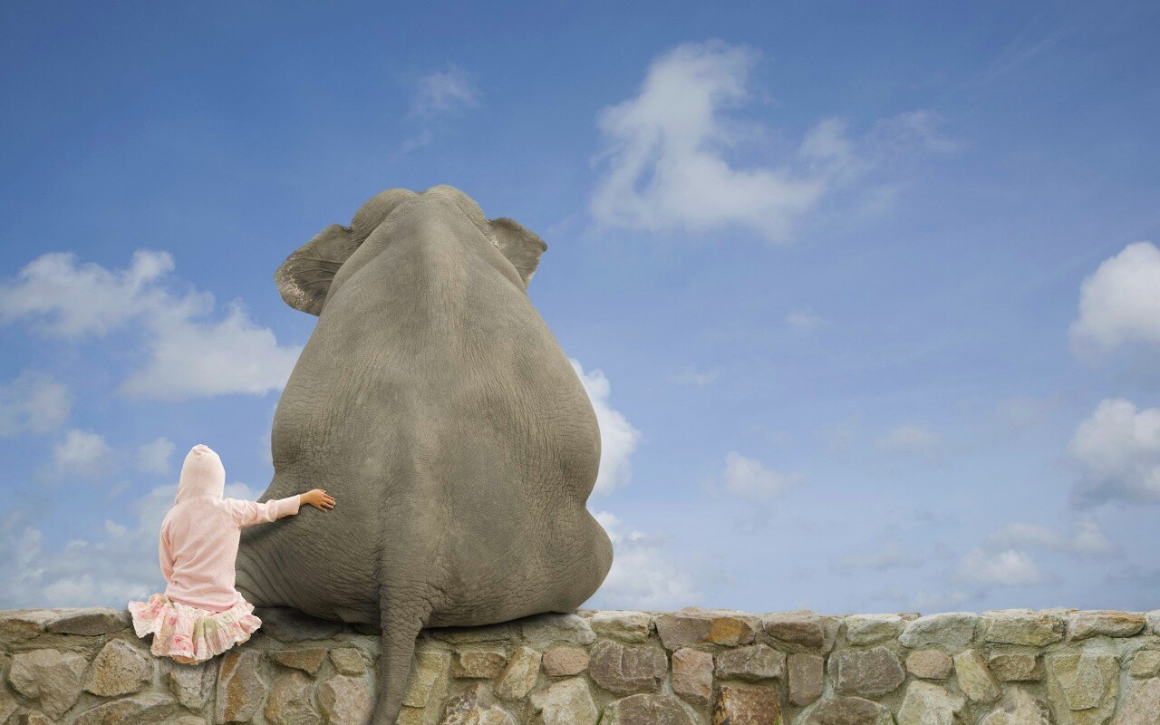 Девочка и слон обои