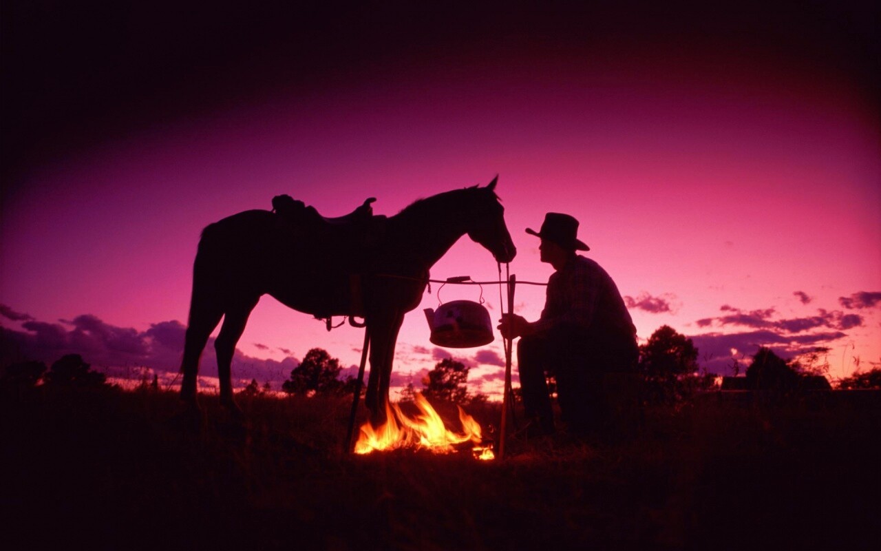 Ковбой на привале обои